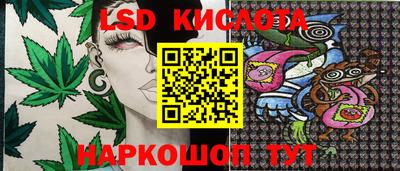 сатива Кимры