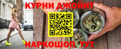 сатива Кимры