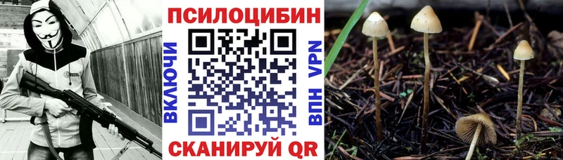 маркетплейс клад Качканар Галлюциногенные грибы ЛСД