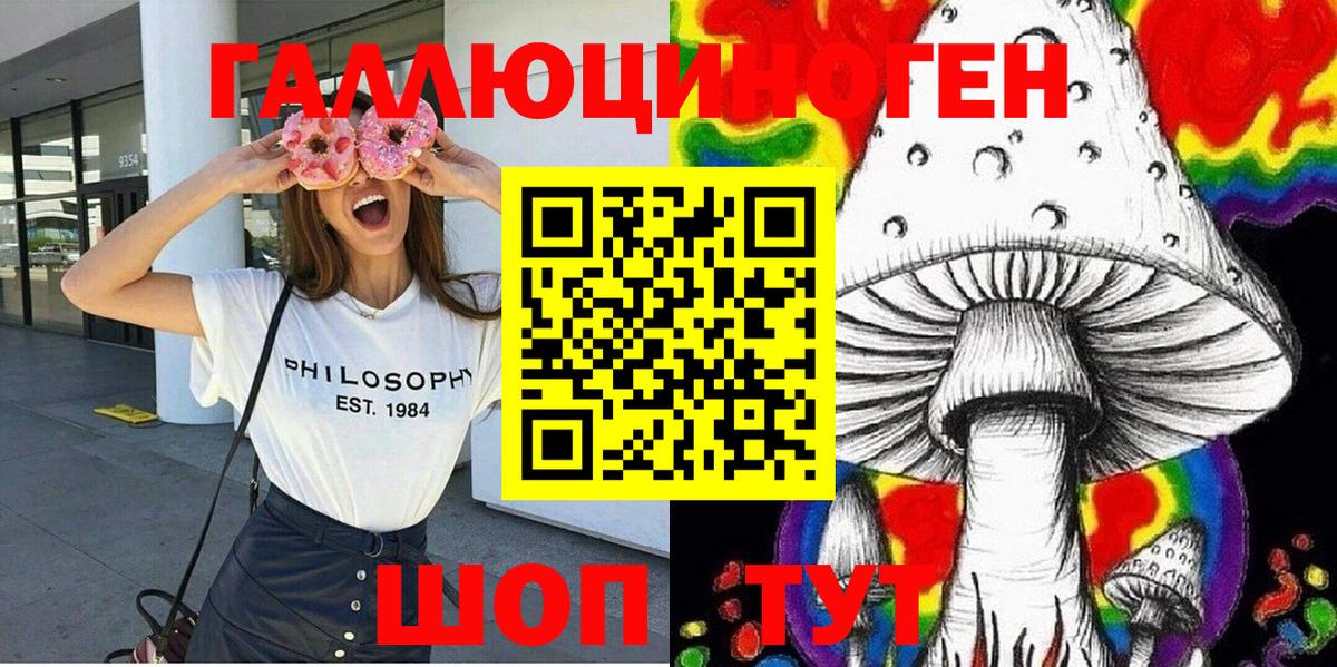где продают наркотики  Псилоцибиновые грибы мицелий  Вход с VPN  Качканар 